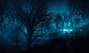 store/s/437a9d80-1b51-46f8-a539-d3dbbf758ae0.jpg