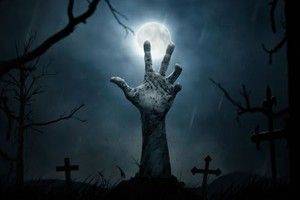 store/s/43cd321bc3d1bd3a9312afe37f4f1afd.jpg