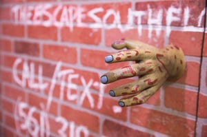 store/s/449253a18fa6fced812d3f63c9dca8f0.jpg