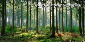 store/s/44aa4060-6070-44d6-83e5-fdd27916049c.webp