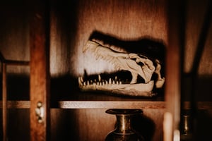 store/s/4794ab65-8194-4933-8fef-3f4bd2560193.jpeg