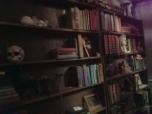 store/s/49e9fe05aaab375921db481fc52f3a5e.jpg
