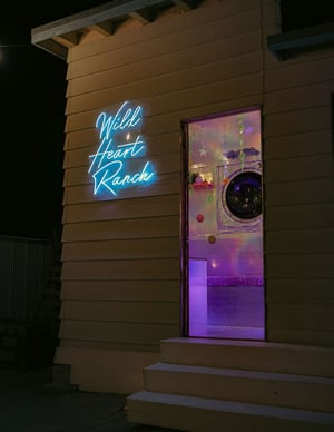 store/s/49ea4e54-6803-4fd8-82b8-f8e4ee086ee8.jpeg