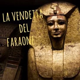 store/s/4abf6ce9-22e9-43f6-8a2b-3ff841766248.webp