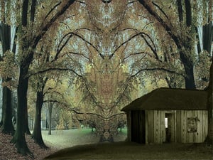 store/s/4ca59d73-cb5a-4578-a51e-4d0113642fe9.webp