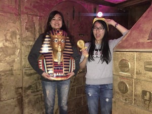 store/s/4d208beab60bef6981d31d7c0df02978.jpg