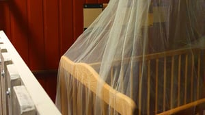 store/s/4d3e8f20-0e05-470d-adda-182cef2dfa88.jpg