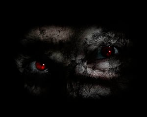 store/s/4f44aa72-4b47-4d34-b63d-3072de23eafe.jpg
