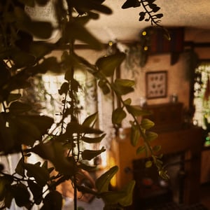 store/s/502036b4-009c-4fd3-a626-33c97dfc5237.png