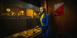 store/s/526929a7-60f7-4211-9860-5b66ae63fa78.jpg