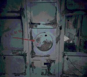 store/s/5413b602-61a7-4da9-90c1-a2ee96c65837.png