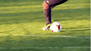store/s/54e79ec7-e884-4776-9236-0132aee41768.gif
