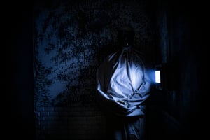 store/s/554efe80-3b9f-4d36-9432-8b8967797c2f.jpeg