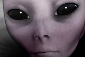 store/s/55868f88-7dd8-43b3-bf13-6f2df9f1c206.png