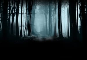 store/s/566554f7-b31c-4b78-8e1e-8182daa17f66.jpg