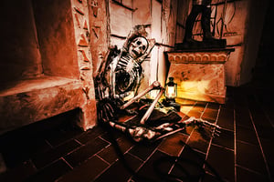 store/s/57661264-04a7-49ce-ae74-3f81a546a6bb.jpg