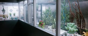 store/s/5a817e8e-c089-40d9-b3d3-c611832904c2.jpg