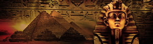 store/s/5be1a99a-4dfb-47a1-b49b-d0ff08fe7e2a.jpg