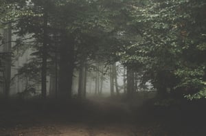 store/s/5bfdf80a-382e-4f93-824e-7e5deb87b7d5.jpg