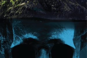 store/s/5d5bb25b-98e2-498e-b90b-02d9df76f912.png
