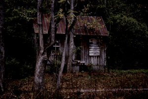 store/s/5f442f93-4001-42f6-bbb8-a2db80caf7a8.png