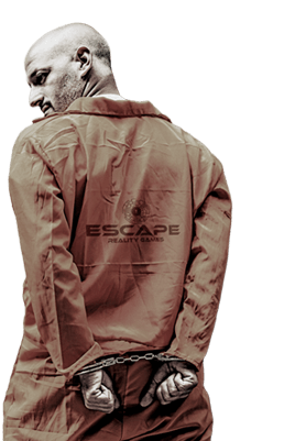 store/s/62c10cc8-8b7c-485e-90fa-52e1502d2d8e.png