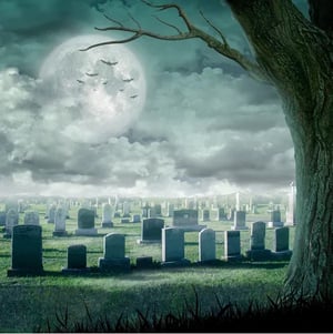 store/s/66969c19-35f5-4308-b241-467a8352eba3.png