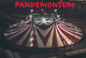 store/s/66dfaada-f038-4e9b-838d-0673ee2c0dc1.png