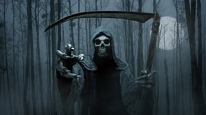 store/s/6918e8d6-3738-4b1f-ad15-10d3131e290c.webp