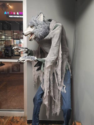 store/s/6950ff6d97c5fc3525402d281b165393.jpg