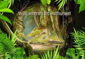 store/s/6b100c34-0130-429c-b7d1-839fb3d34f26.webp