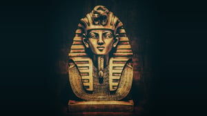 store/s/6b5a9aad-c0e1-4224-99d7-48342271d498.jpg