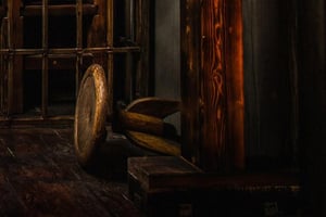 store/s/6b8d2b00-af42-4680-85a0-f0ab28ac7bf8.jpg