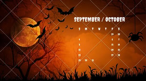 store/s/6c133a03-794f-4199-ad31-a2e9bb5770e4.webp