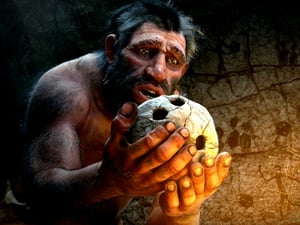 store/s/6cc1b1a5-0e97-42a4-a036-7148c922b2ea.png