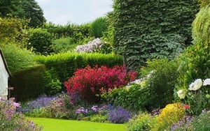 store/s/6d12f7f3-1259-4271-8a6c-20c5004f2546.jpg