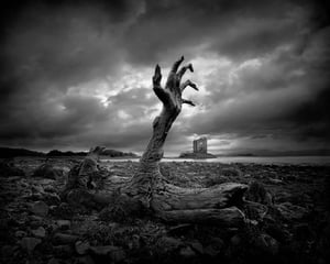 store/s/6fde0e04-a815-4e97-b9c6-895e6ea9d6e5.jpg