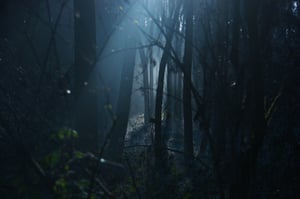 store/s/703ab939-bd8f-4f67-aa60-497c08df84e1.jpg