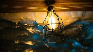 store/s/705435ed-59a2-478f-a5e9-1f6503a82c37.jpg