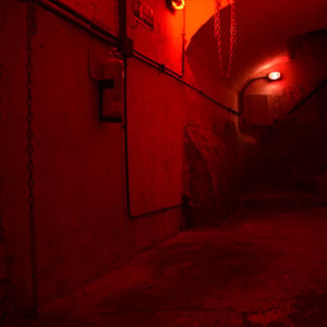 store/s/72d8e806-dca1-4d69-b6ff-539e4110d80b.jpg
