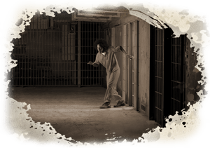 store/s/730ea016-9d13-45cd-860a-9e8253e08f1a.png