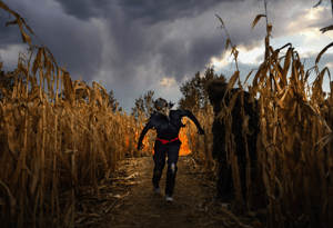 store/s/73330395-c330-4c7c-92ed-9d64117058ab.png
