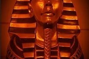 store/s/733dd996e1e863410780b8a2e2dab354.jpg