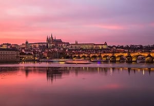store/s/7393f7df-7abd-4ee7-b586-105e95c5266e.webp