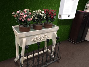 store/s/75559b67-d70f-4d1a-82e5-8a197ab84d21.jpg