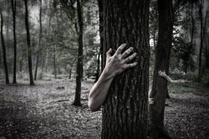 store/s/75c7f416-da91-4f84-a23c-ca600f083ba3.jpg