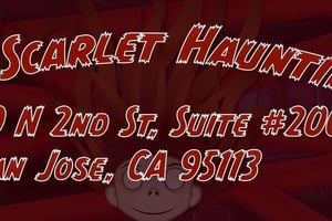 store/s/7634d1e60af6bf6dd5800fd1d3918194.jpg