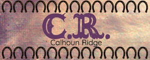 store/s/76b5615e1279f9fcc5e86c96d30c245b.jpg