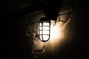 store/s/77089195-279f-45d4-afa6-780efccc52a6.jpg