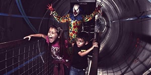 store/s/7744480f-d0fc-4d64-a991-41811c90099e.jpg